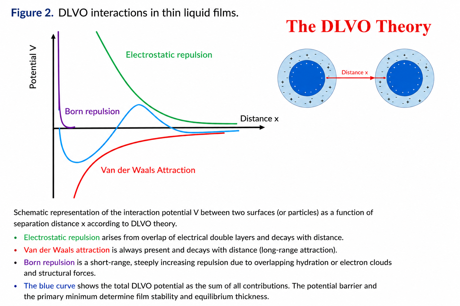 DLVO theory showing electrostatic repulsion and van der Waals attraction
